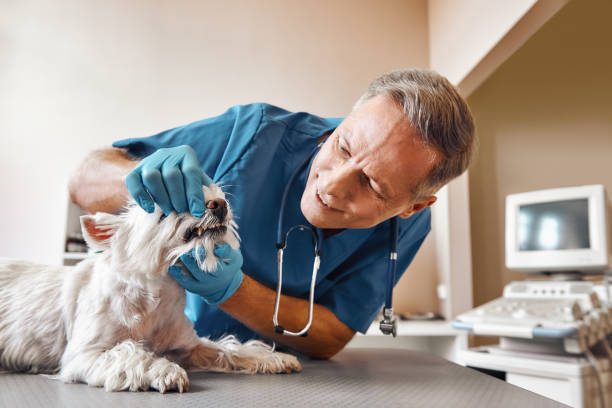 Best Walk-In Emergency Dentist in Hobart, OK